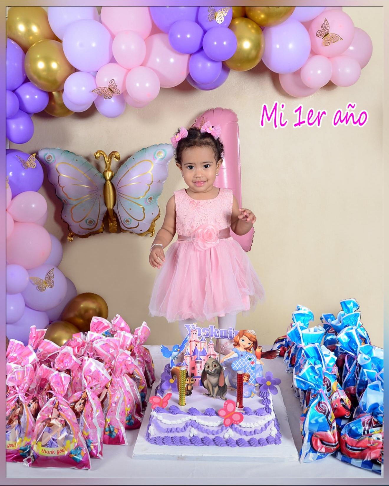 Primer cumpleaños - Mi 1er año